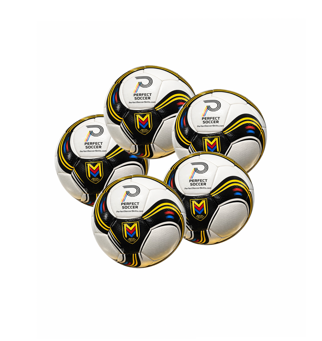 PERFECT SOCCER TRAINING BALL – PerfectSoccerSkills.com