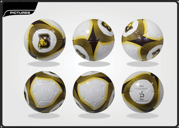BPA Custom Soccer Ball