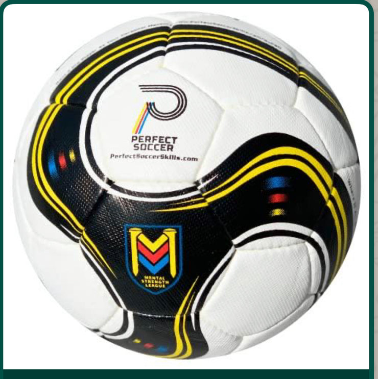 *Sample Perfect Soccer Ball