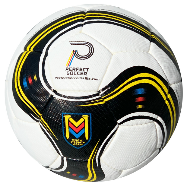Perfect Soccer Match Ball Replacement S&H Fee