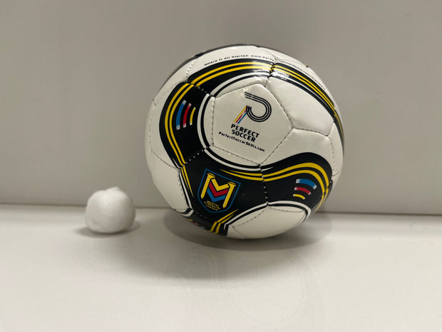 Perfect Soccer Mini Ball | Made for Kids & Toddlers