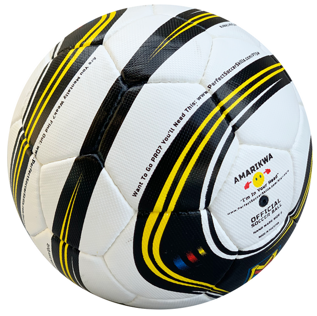 Perfect Soccer Training Ball